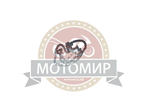 Цепь (083) метрами, (веломотор) ПР12.7, Прибалтика