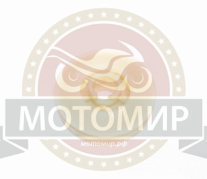 Барабан стартера (под шнур) Goodluck GL2500GTS