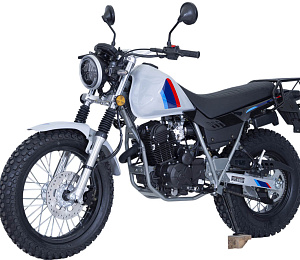 Мотоцикл SCOUT TW250  PR300