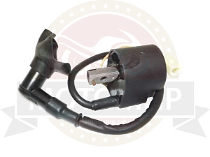 Катушка зажигания FT50QT, QT-3 большая, с проводом и свечным колпачком
