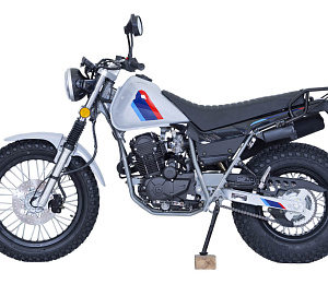 Мотоцикл SCOUT TW250  PR300