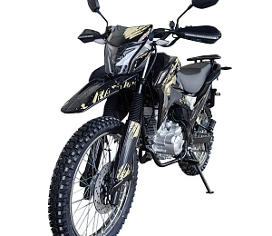 Мотоцикл DRIVE 200