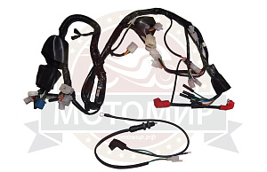 Проводка центральная INTRUDER (31061037)