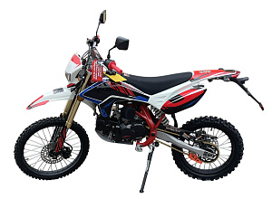 Питбайк X-MOTOS 140 19/16 COLOR (прибор. панель, светотехника)