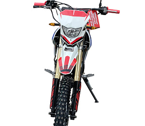 Питбайк X-MOTOS 140 19/16 COLOR (прибор. панель, светотехника)