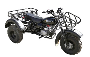 Трицикл ТРИТОН 3 (колеса 10"), СКАУТ 3Р-140