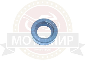 Сальник Вихрь помпы